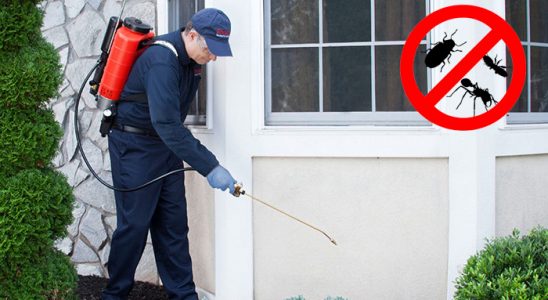 Horasan Dezenfeksiyon böcek ilaçlama ve haşere kontrolü — ilaclama-tr.com